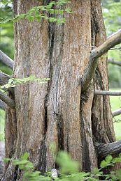 《Atomfall》公布最新宣传片 单人生存动作新游